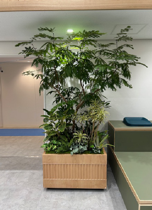多目的ホール装飾