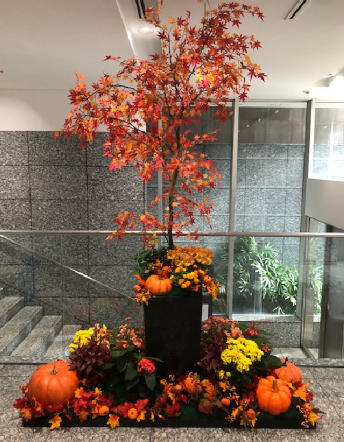 秋装飾/ハロウィン、紅葉