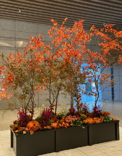 秋装飾/ハロウィン、紅葉