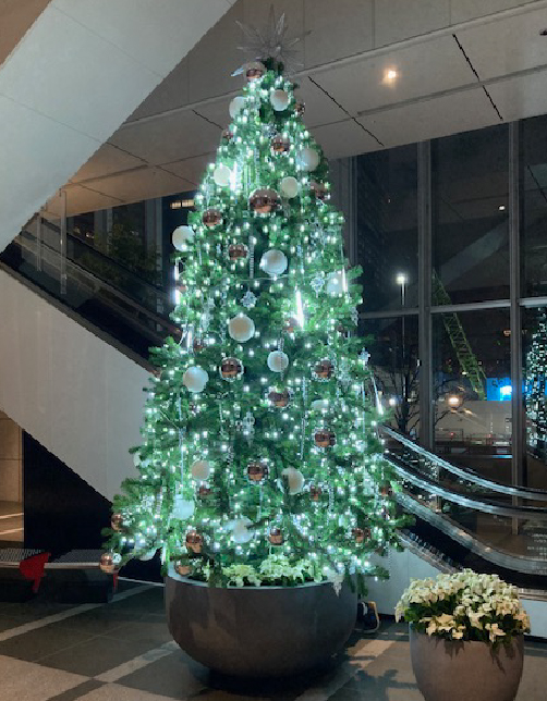 クリスマスツリー
