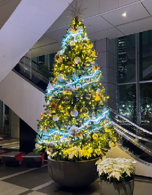 クリスマスツリー