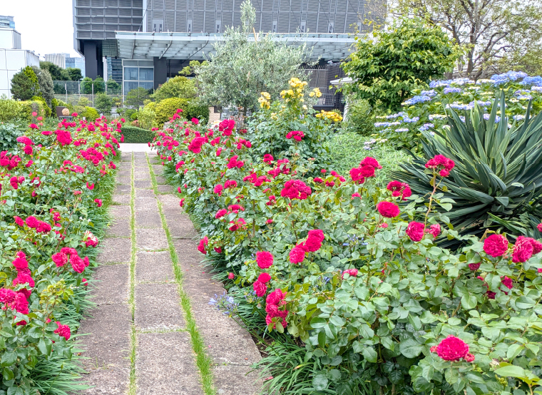 緑や花は、都市を咲かせる。