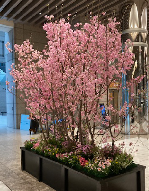 春装飾/桜