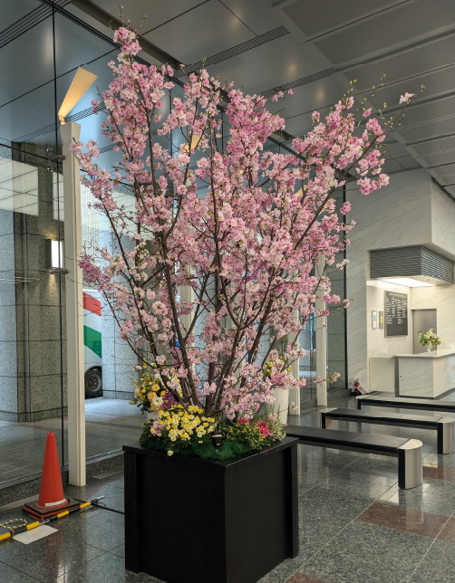 春装飾/桜
