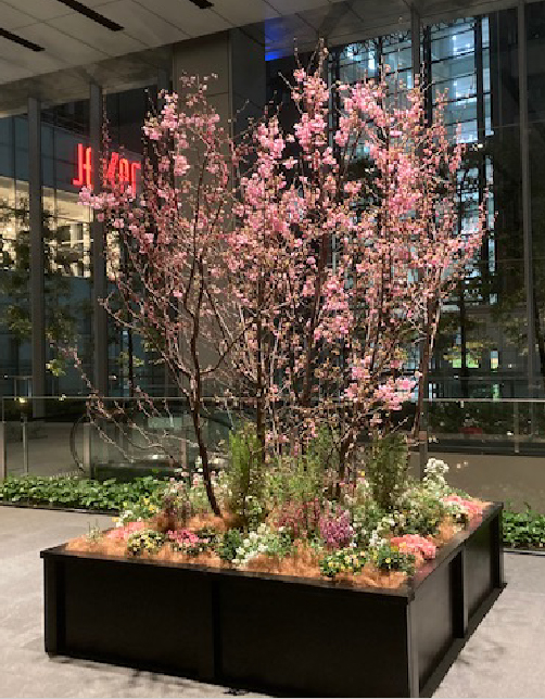 春装飾/桜